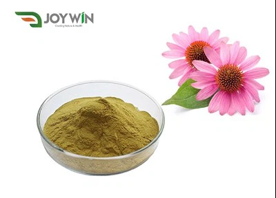 Echinacea Purpurea ekstrakta pulveris